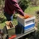 Foto 30.04.23, 11 15 43.jpg