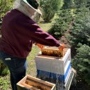 Foto 30.04.23, 11 15 39.jpg