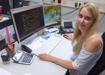 Mandy Hamann, Artikelstammpflege