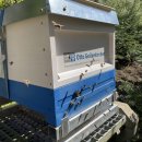 Foto 30.04.23, 11 22 47.jpg